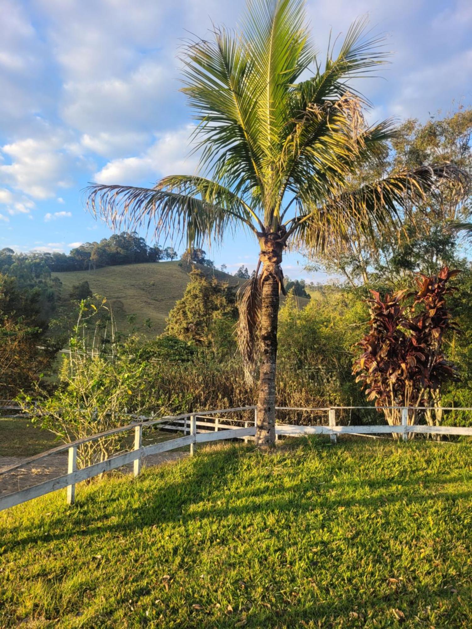 Do Mirante Alojamento de Turismo Selvagem *