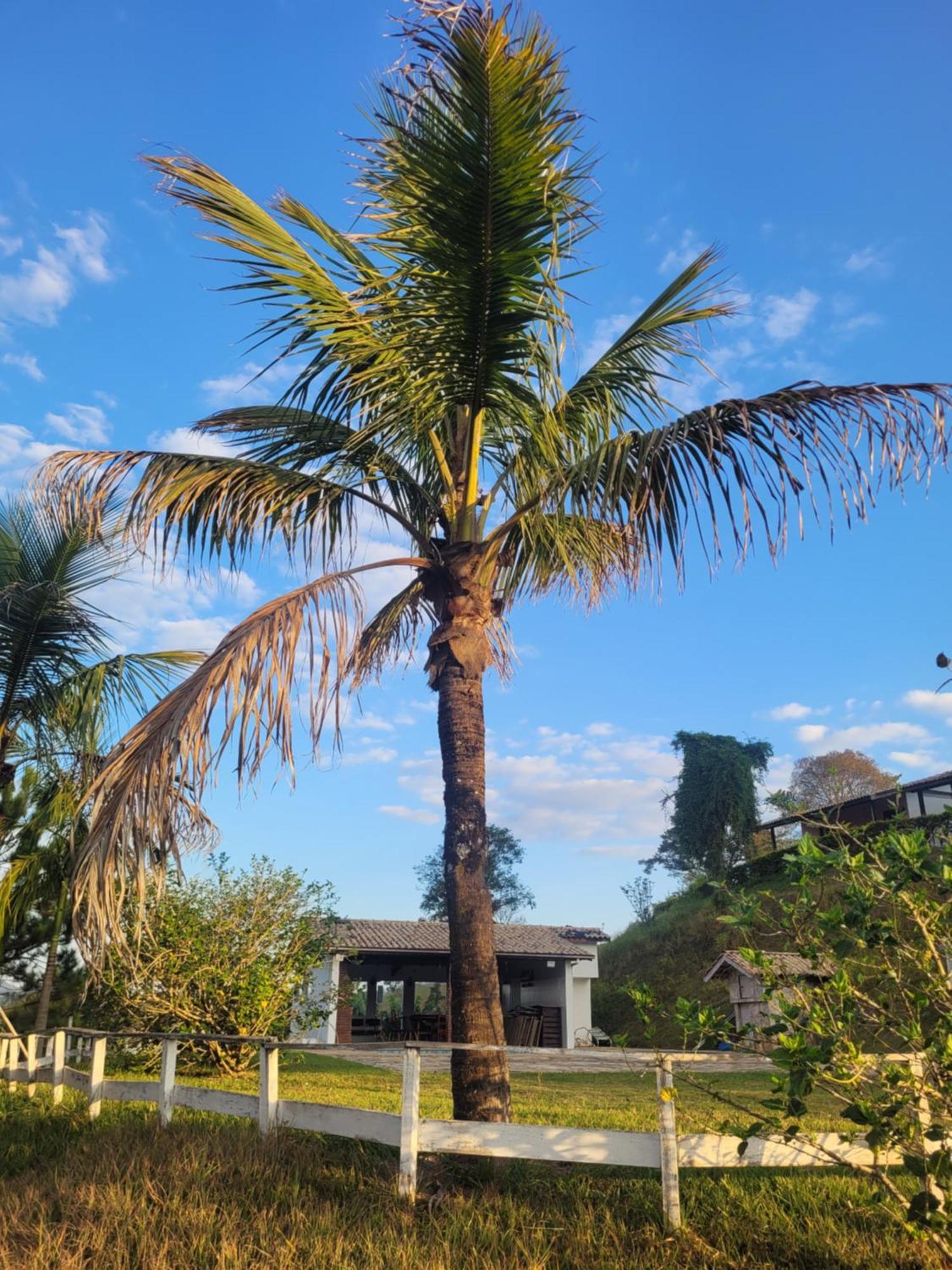 Do Mirante Lodge Joanopolis